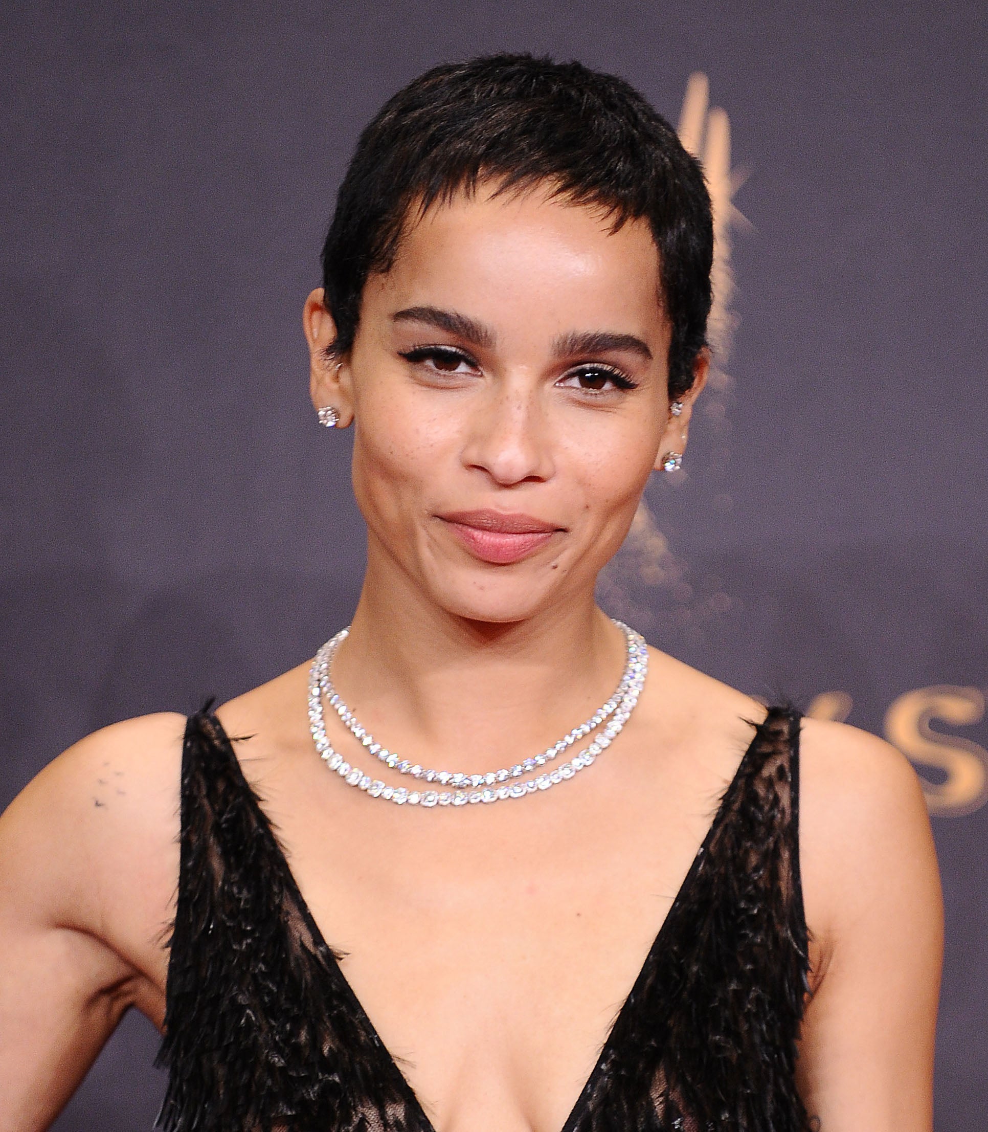 Birthday Beauty: 11 Times Zoe Kravitz's Hairstyles Kept Us On Our Toes
