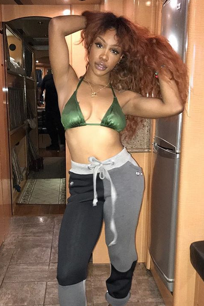 SZA Is An Absolute Hair Goddess And Here Are 13 Reasons Why