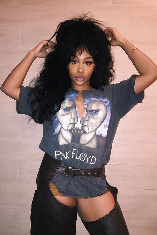 SZA Is An Absolute Hair Goddess And Here Are 13 Reasons Why 

