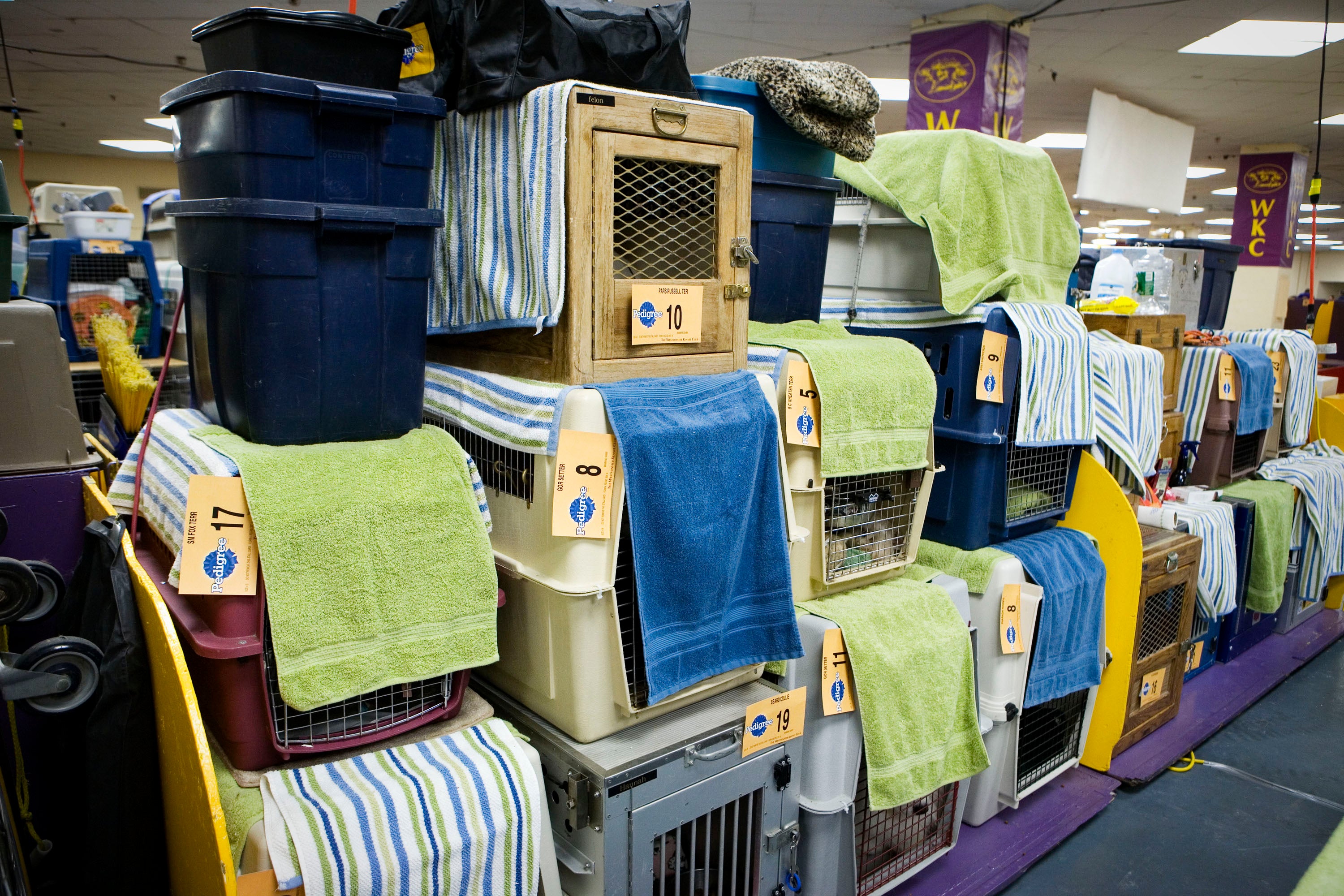 The Quick Read: Memphis Grandma Arrested After Forcing Grandchildren To Travel In Pet Kennels
