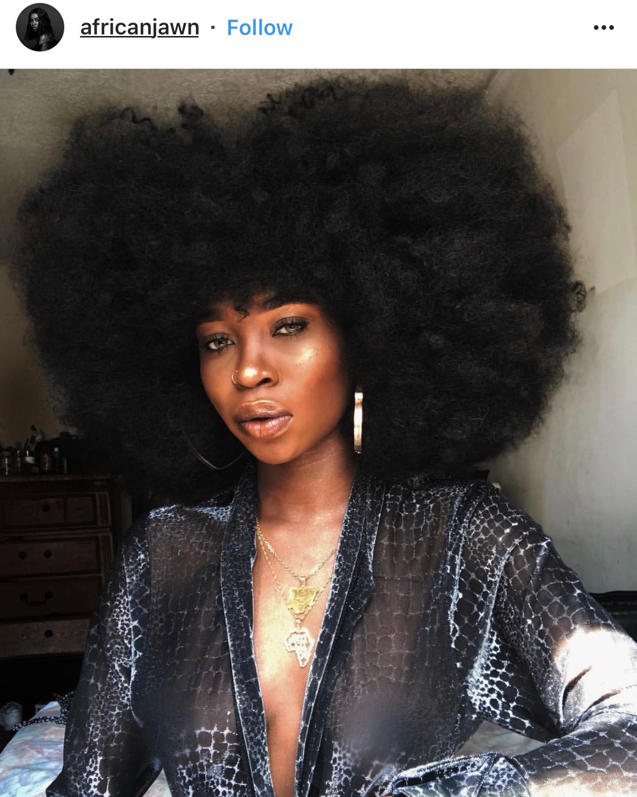 Protective Styling 101: Gravity Defying Faux Fros You Have To See 
