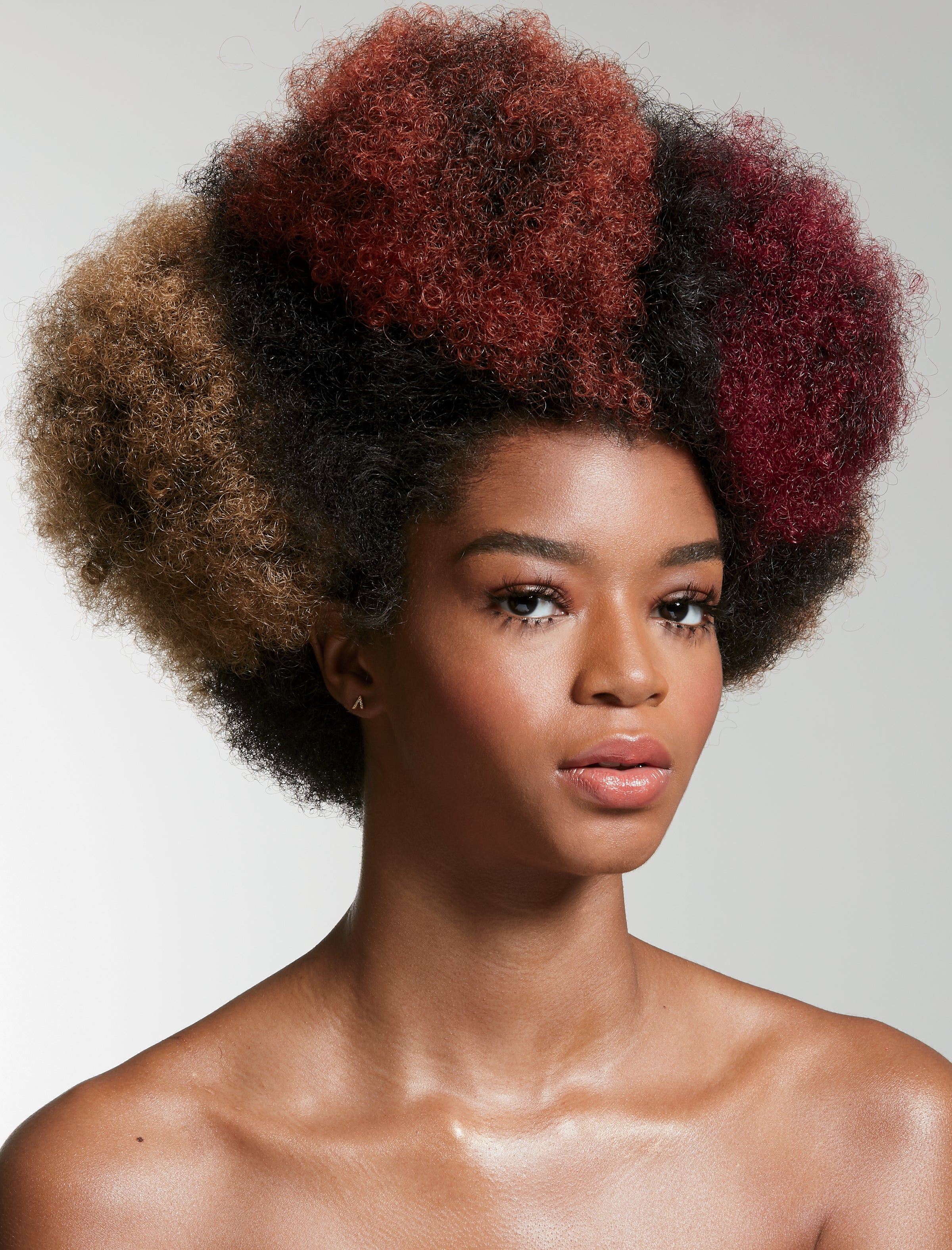 Terrific Textures: A Celebration Of Black Women's Incredible Crowns