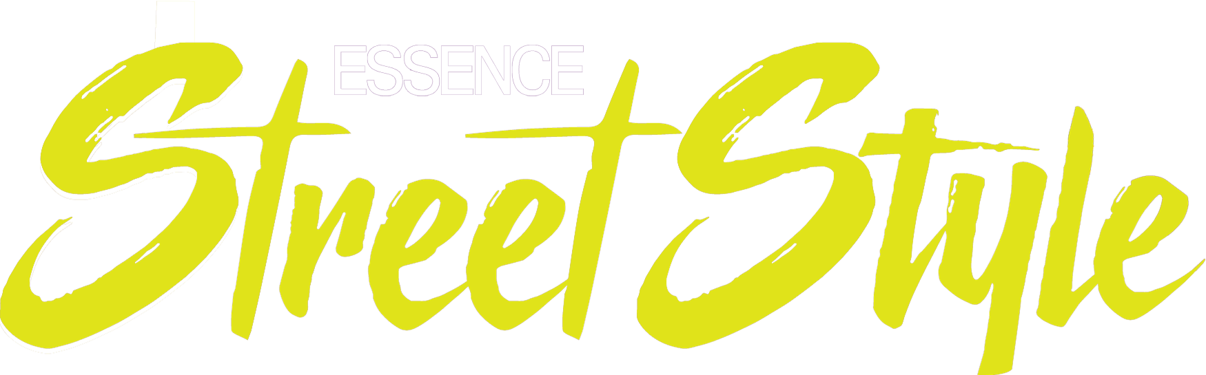 Street Style logo