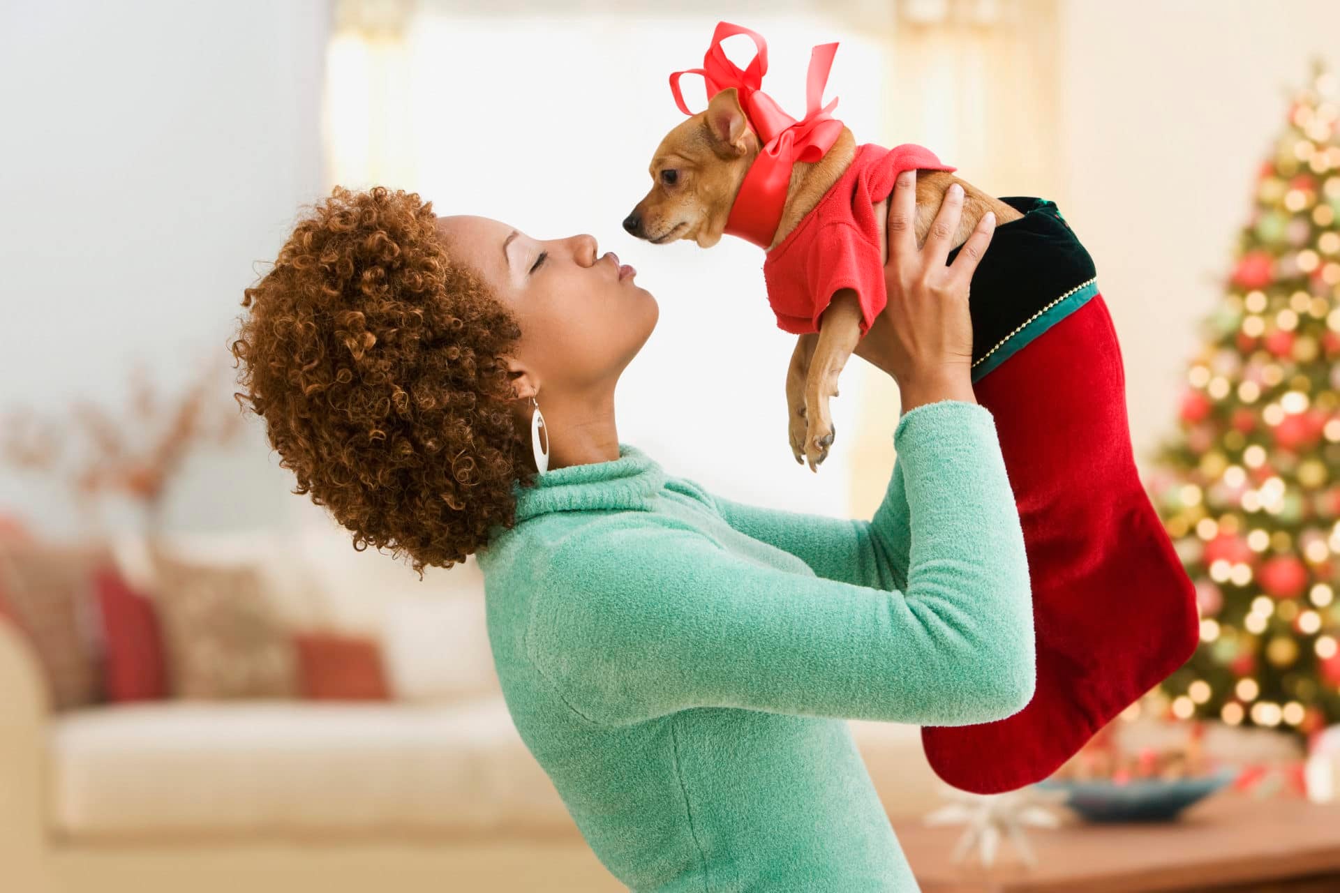 #BuyBlack Gift Guide: 10 Gifts For The Pets On Your List