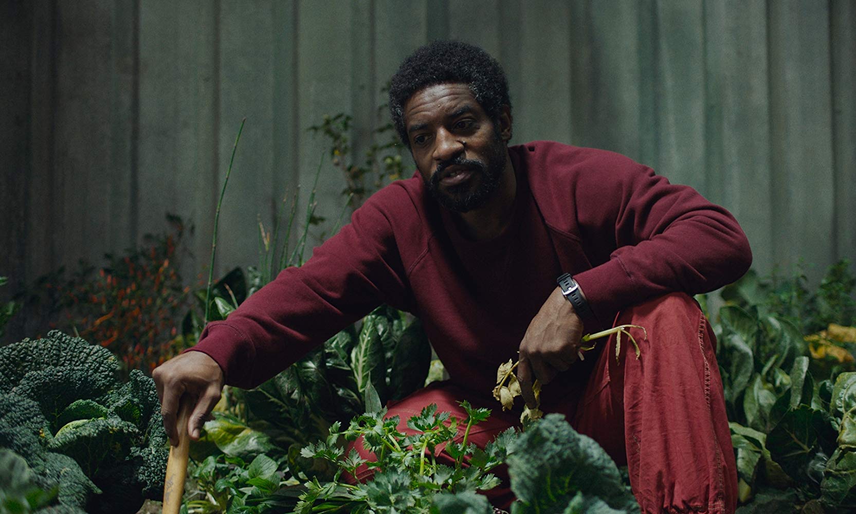 André 3000 Gardens In Space In The Freaky New Trailer For 'High Life'