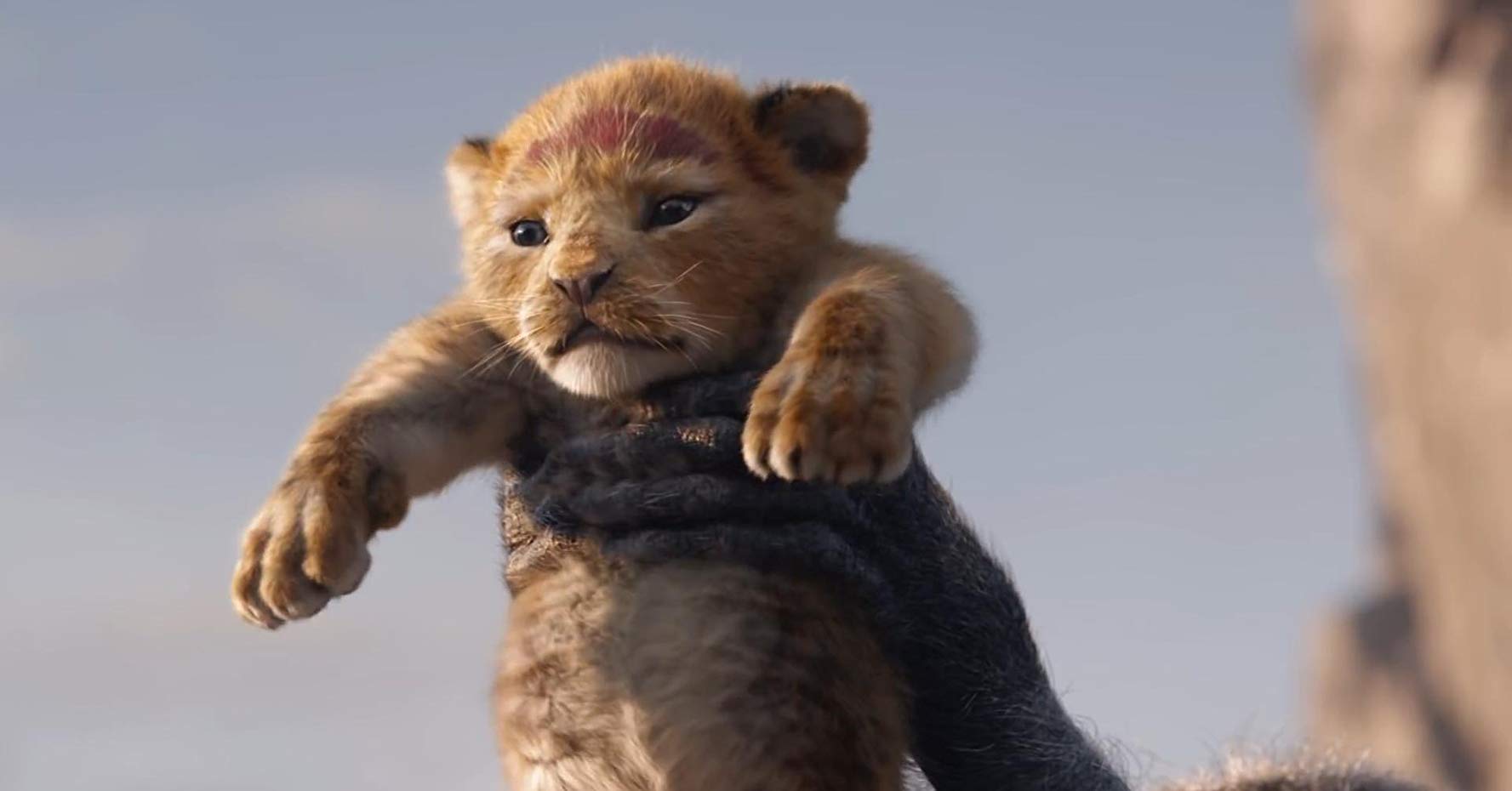 From 'Us' To 'The Lion King': 16 Movies We're Excited To See In 2019