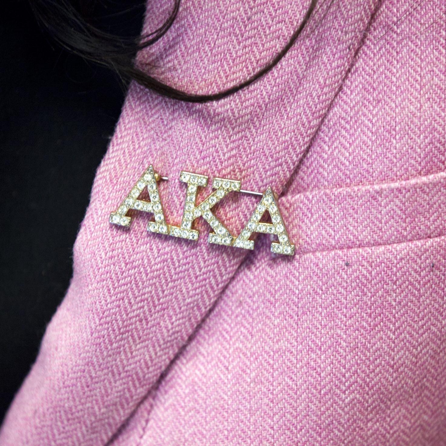 Alpha Kappa Alpha Sorority Donates $100,000 To Chicago State University