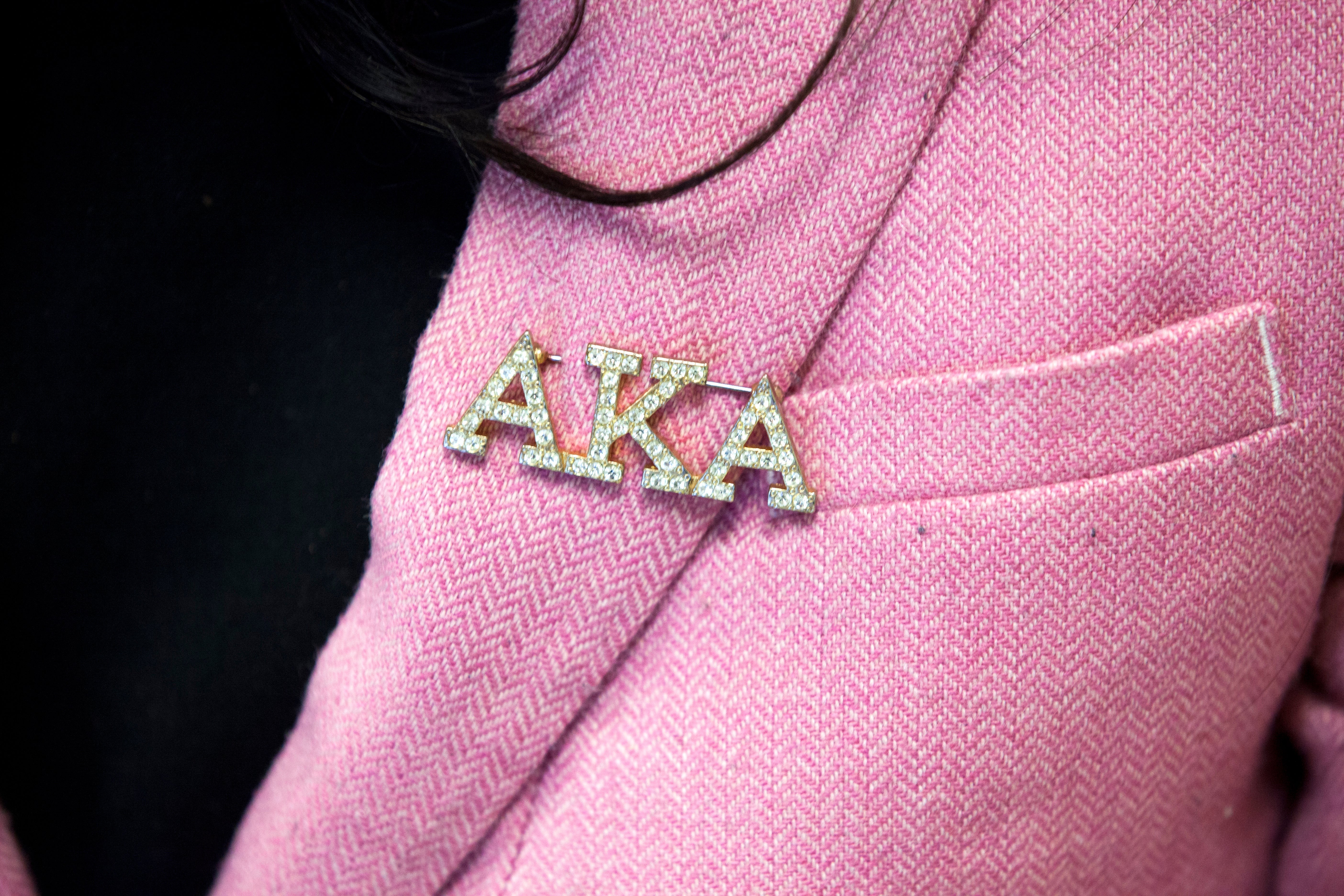 Alpha Kappa Alpha Sorority Donates 100,000 To Chicago State University