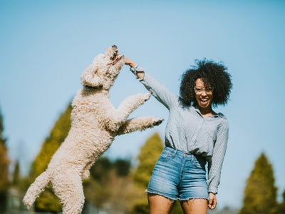 4 Great Pet-Friendly Vacations You Can Enjoy With Your Furry BFF