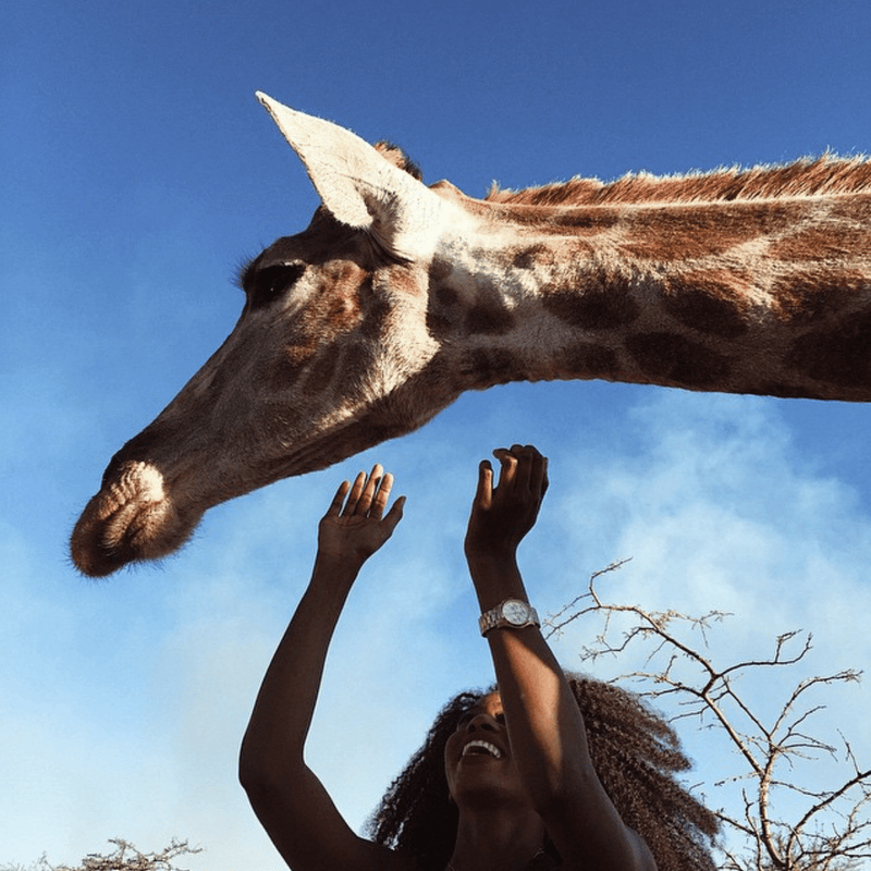 Windhock Game Camp NAMIBIA