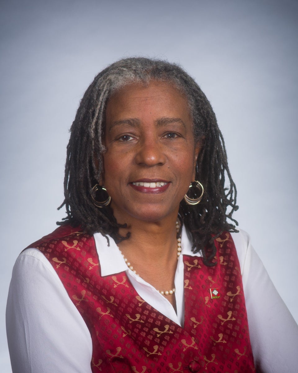 Arkansas Lawmaker Stephanie Flowers Gives Viral Speech Against ‘Stand