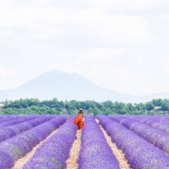 Black Travel Moment of the Day: This Lavender Moment in France Has Us Longing For Summer