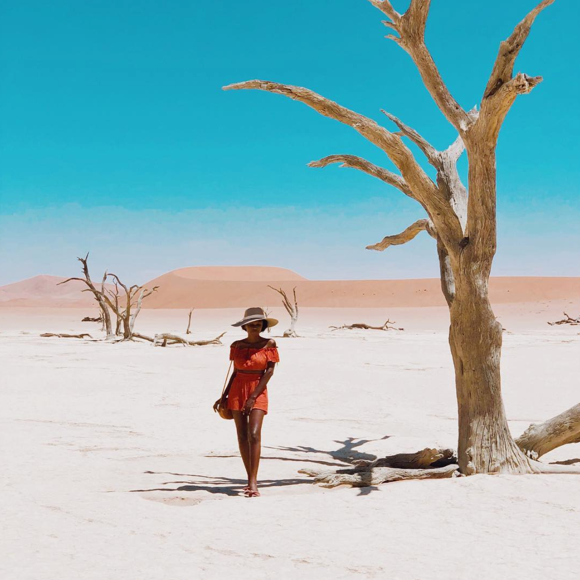 Black Travel Vibes: Lose Yourself in Namibia's Gorgeous White Sand Deserts