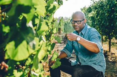 Drink Up! These Are The 7 Most Sought After Black-Owned Wines In The World