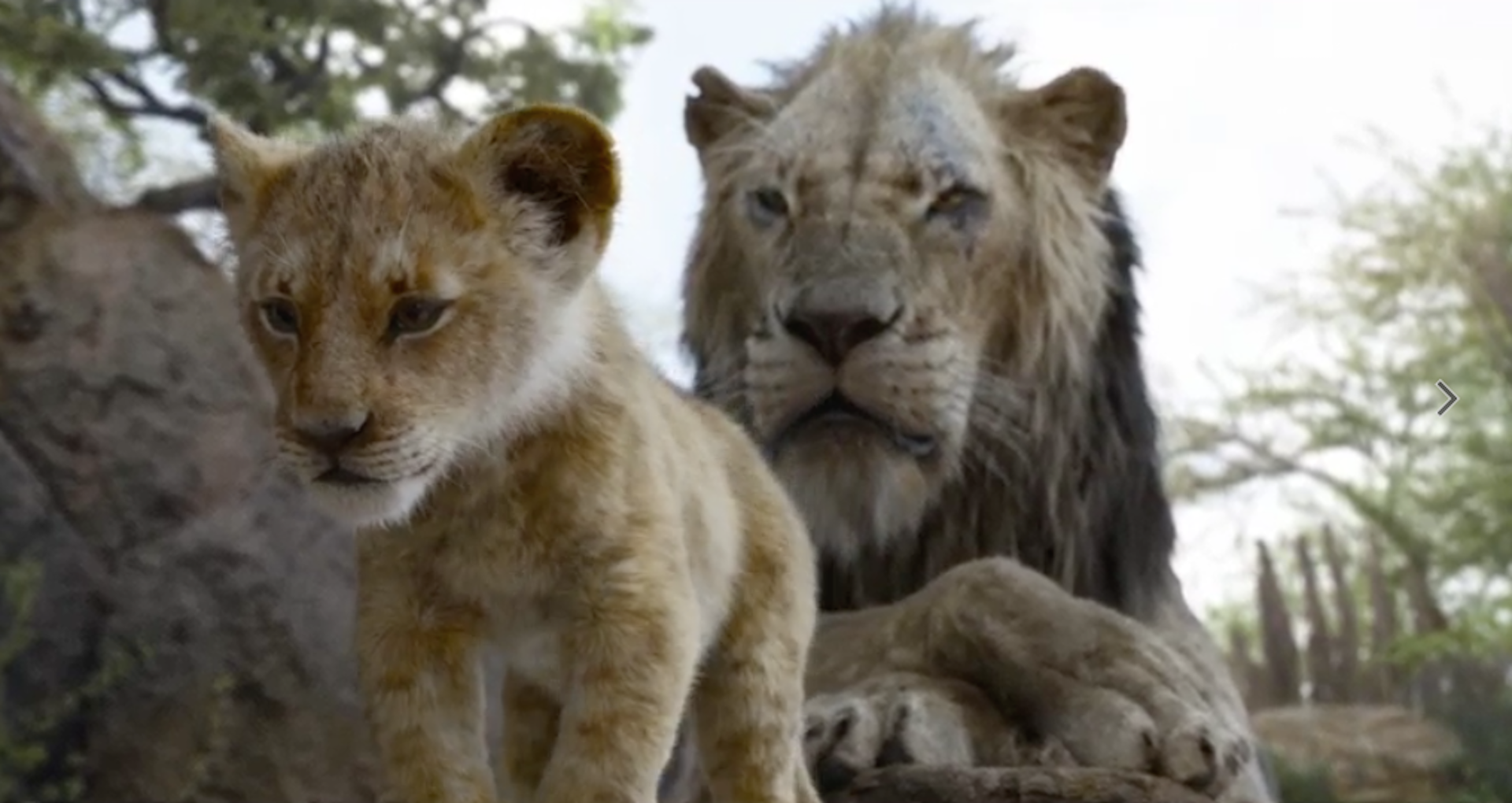 A Brand New 'Lion King' Trailer Shows Simba Fighting For His Destiny
