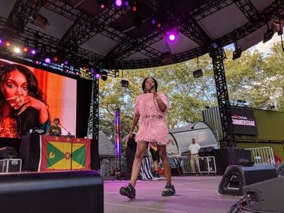 SUMMERSTAGE SIZZLES CENTRAL PARK WITH VP RECORDS 40th YEAR CELEBRATION