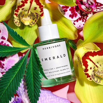 Celebrate National CBD Day With These Soothing Beauty Products