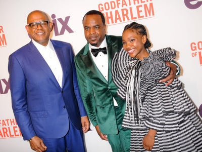 Have You Watched “The Godfather Of Harlem” Yet?