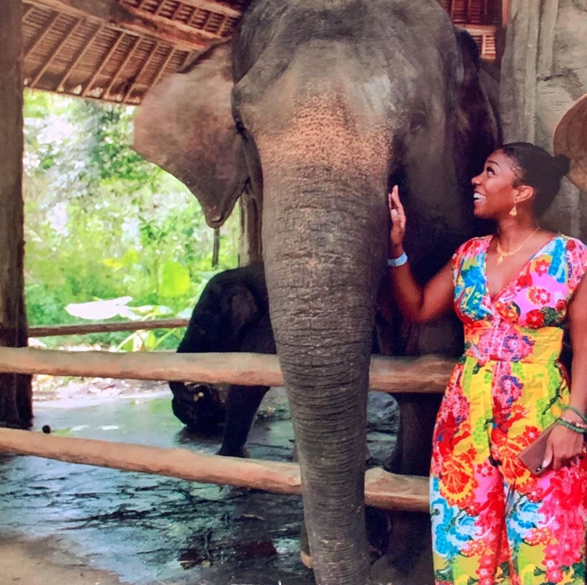 Black Travel Vibes: This Bali Animal Adventure Is A Walk On The Wild Side