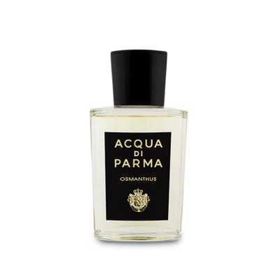 8 Fall Fragrances That Should Be On Your Radar