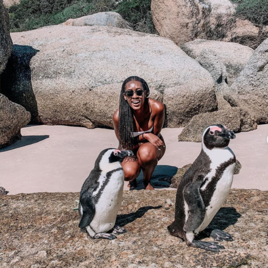 Black Travel Vibes: Hang With Penguins In Cape Town