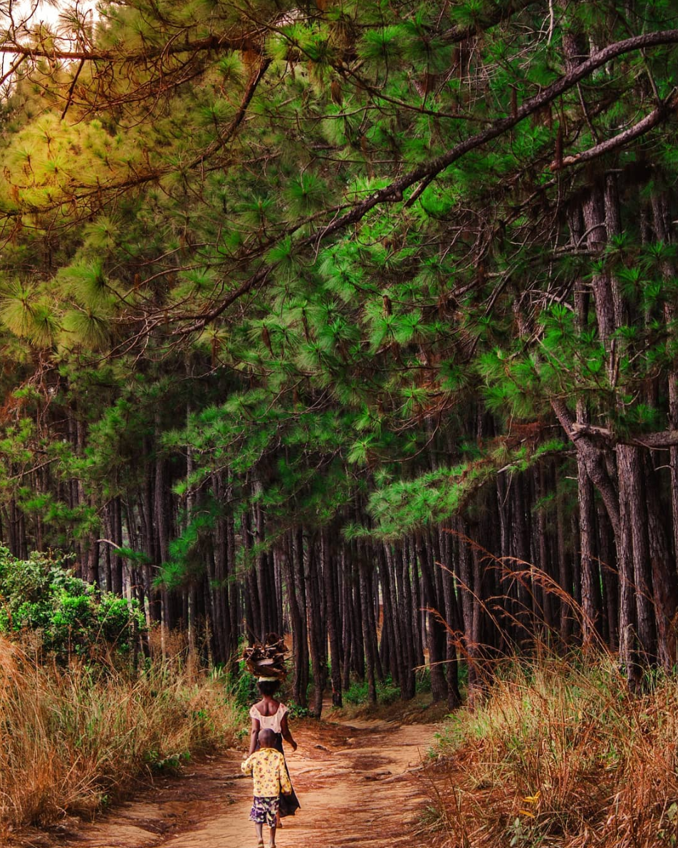 Black Travel Vibes: Revel in The Beauty Of The Democratic Republic Of The Congo