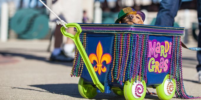 Headed To NOLA For Mardi Gras? Check Out What's Also Happening In Baton Rouge, Shreveport & Lafayette