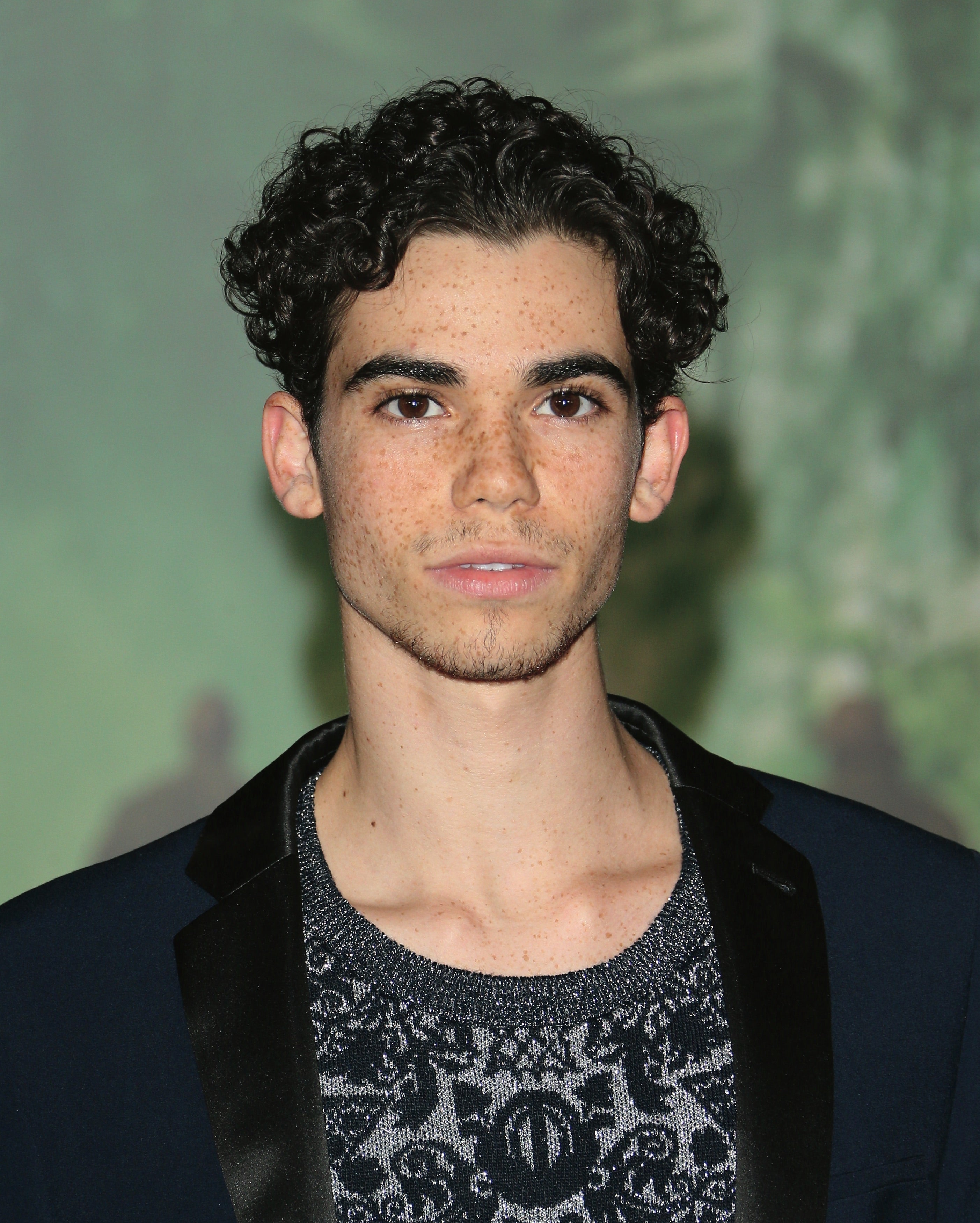 Cameron Boyce Missing From Oscars 'In Memoriam' Segment