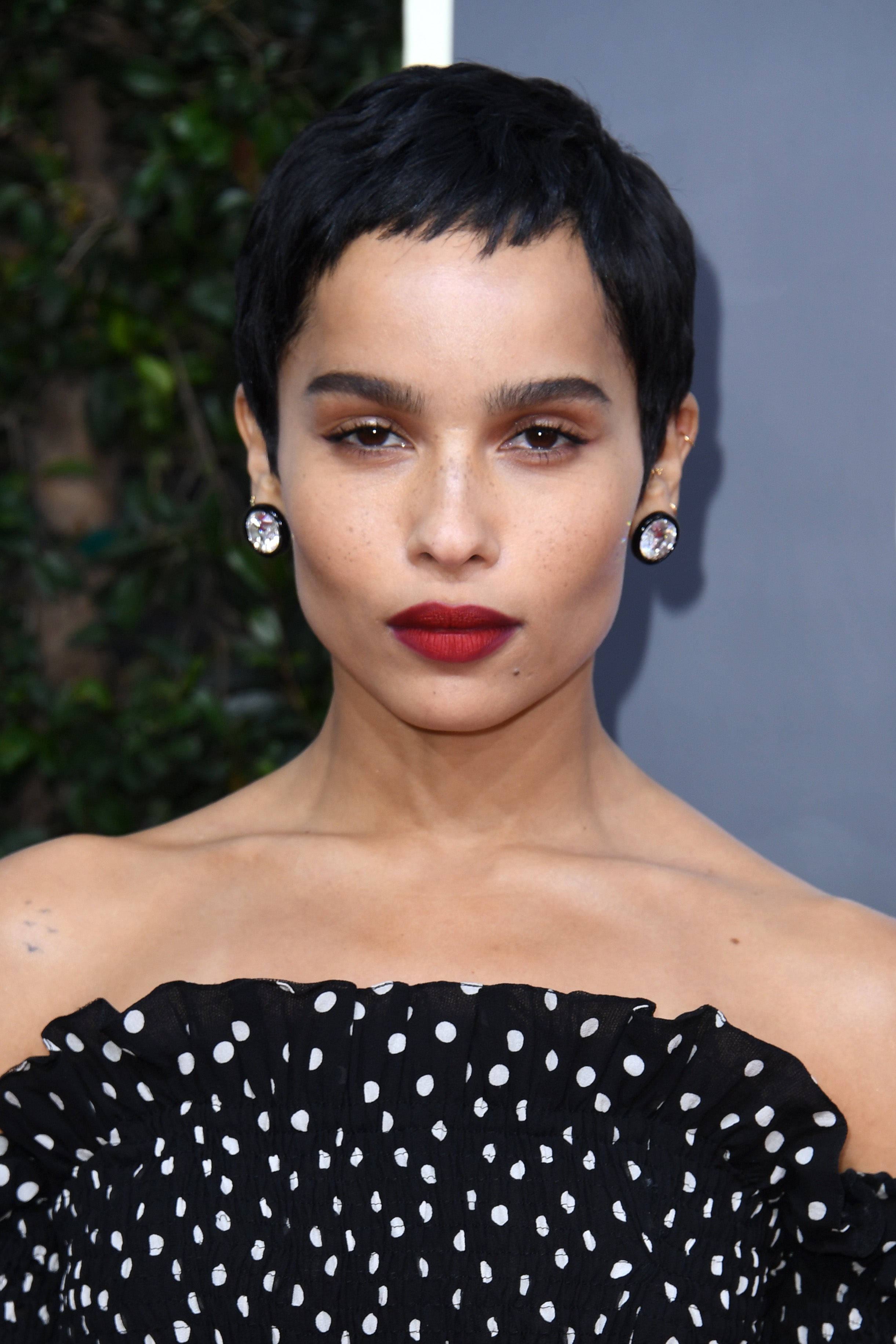 Red Carpet Beauty From The 77th Annual Golden Globe Awards