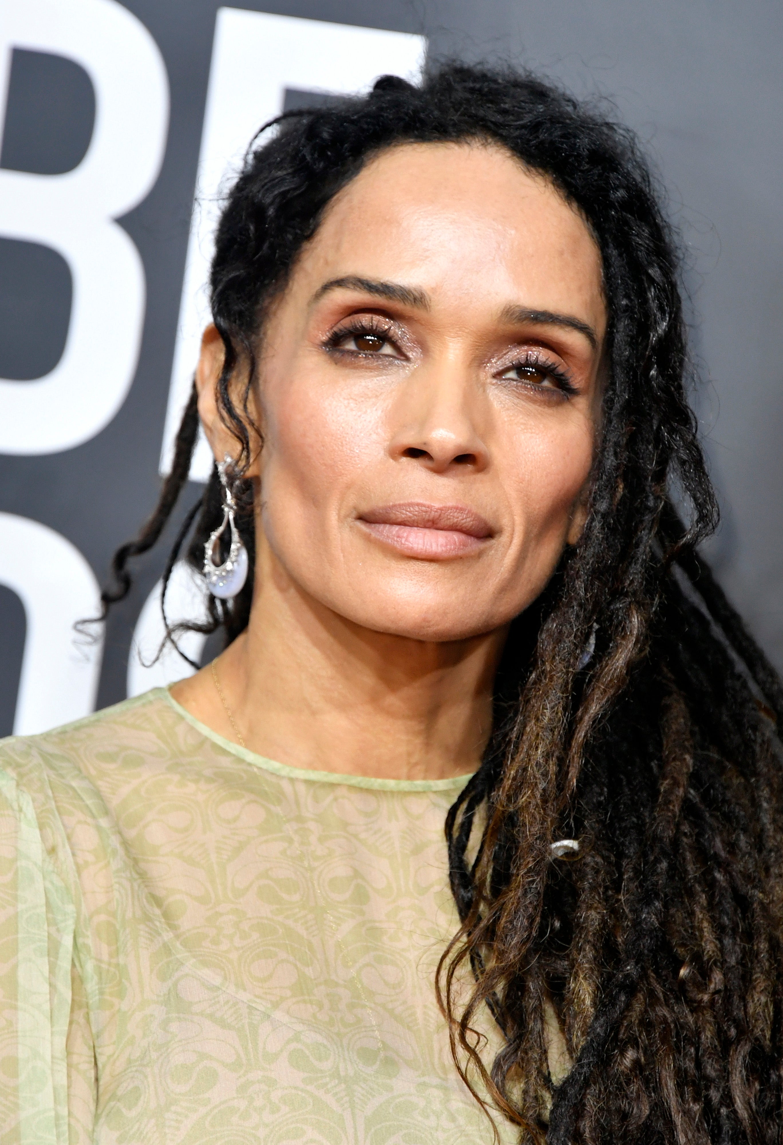 Red Carpet Beauty From The 77th Annual Golden Globe Awards