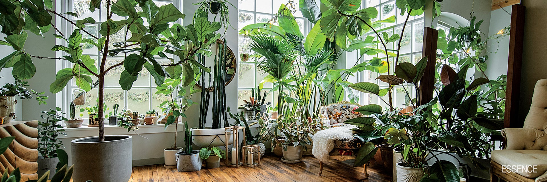 Plant Stylist Hilton Carter’s Home Will Make You Green With Envy