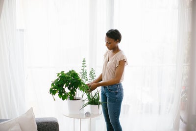 Keep Your Plants Alive With These Helpful Tips