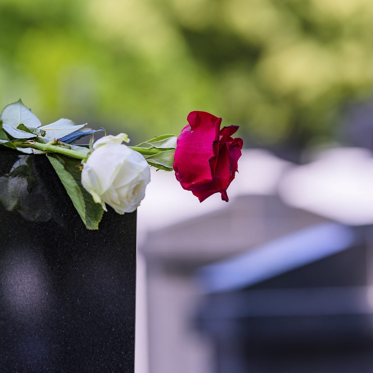 Six Dead Of Coronavirus After Attending Funeral In South Carolina