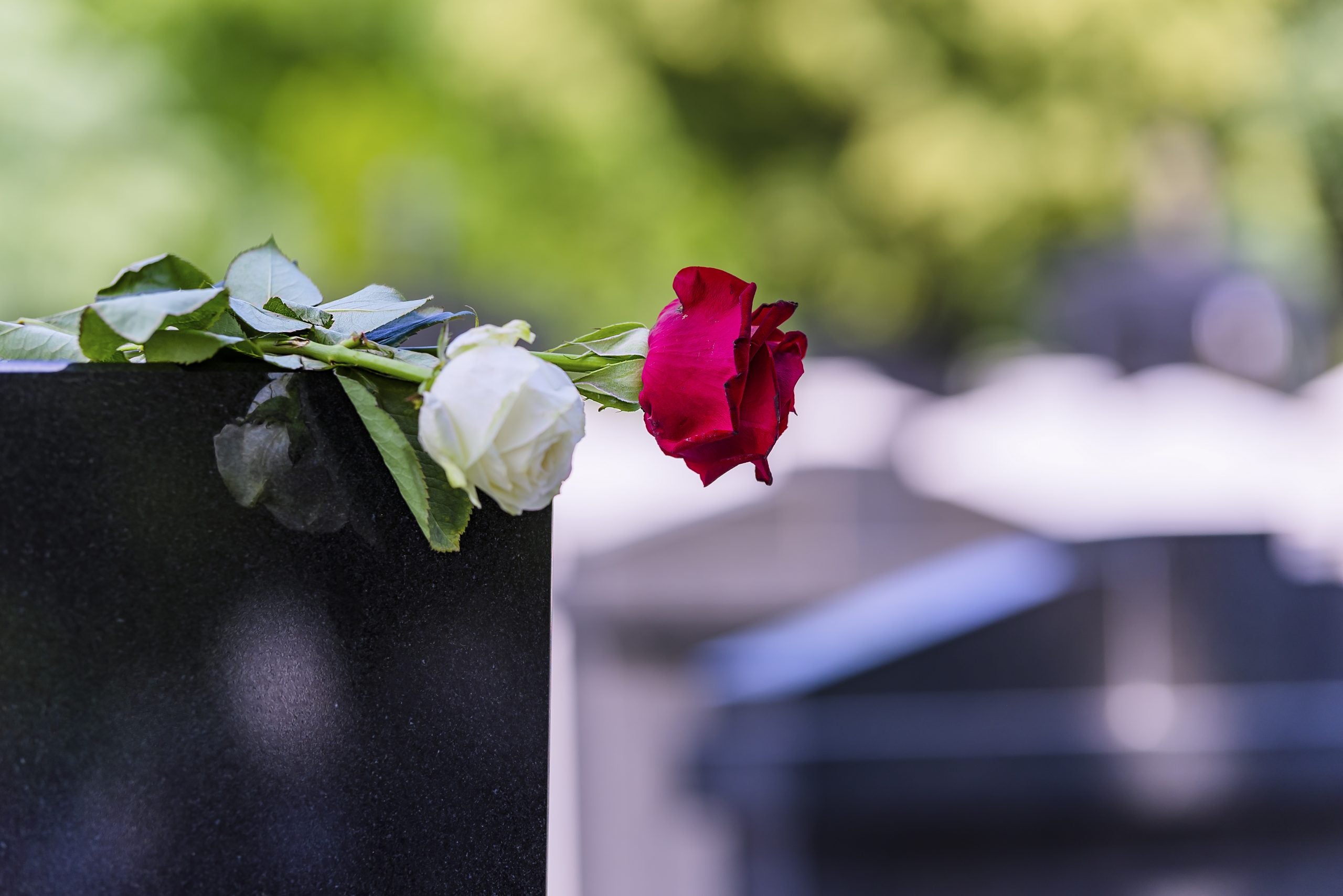 Six Dead Of Coronavirus After Attending Funeral In South Carolina