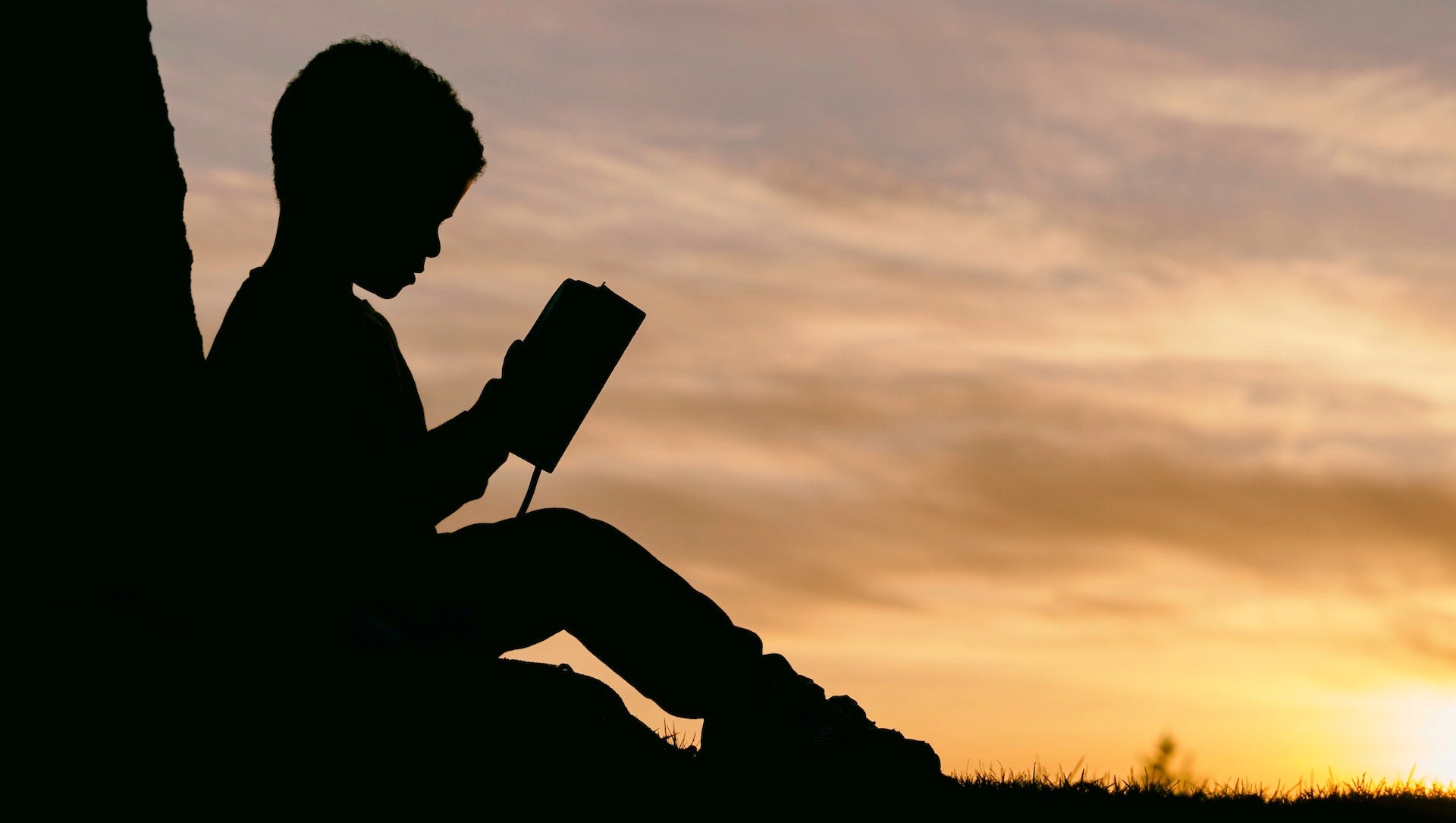 Here Are The 50 Must-Read Black Children’s And Young Adult Books Of The Last 50 Years