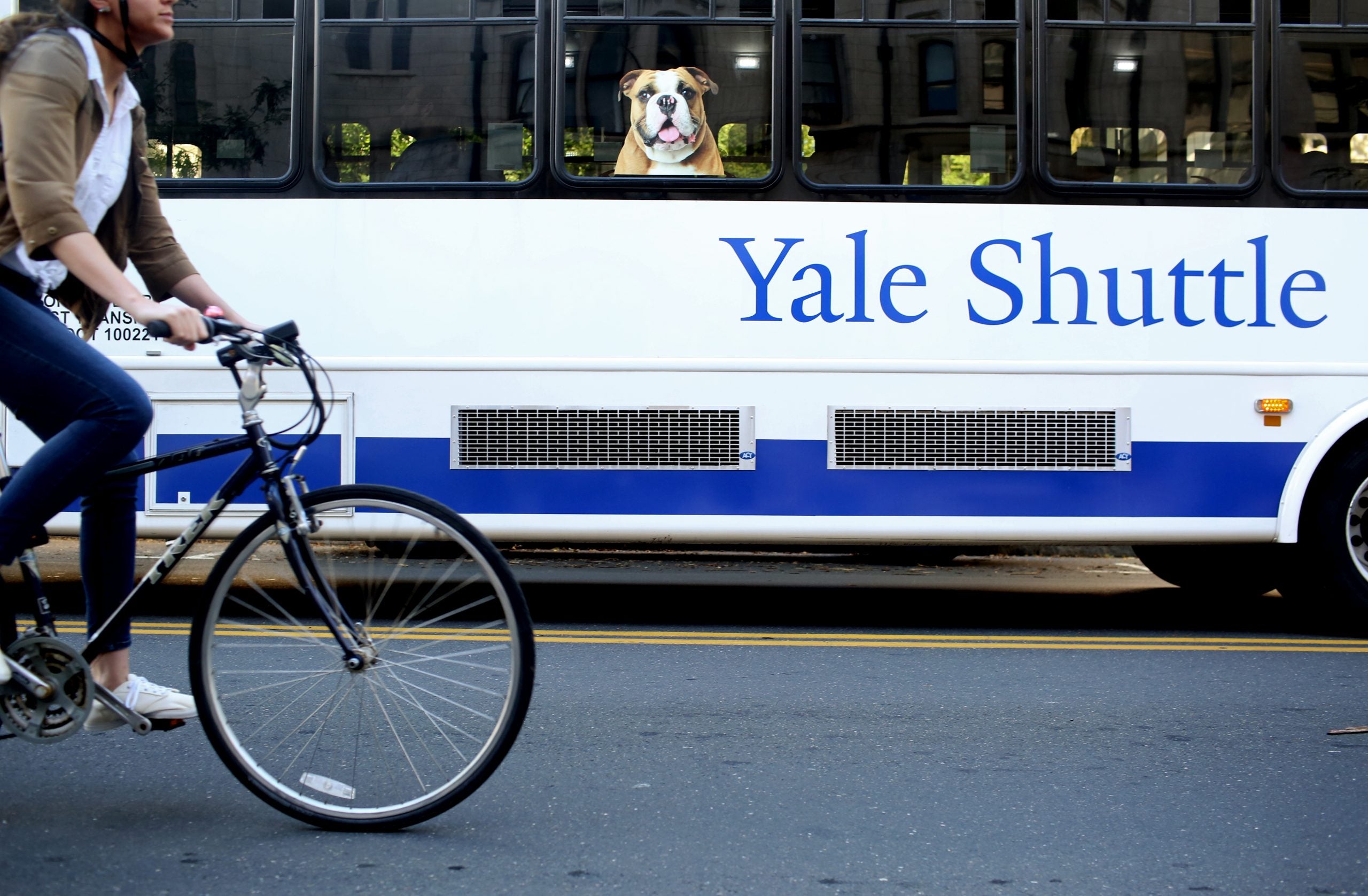 DOJ Says Yale Discriminates Against White And Asian-American Students