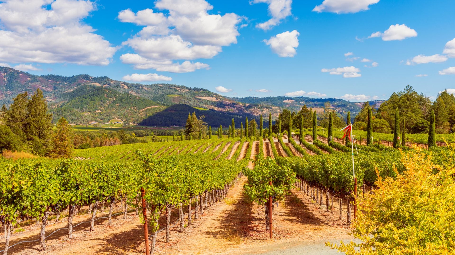 Get Lost: Spend A Wine Weekend In Napa Valley