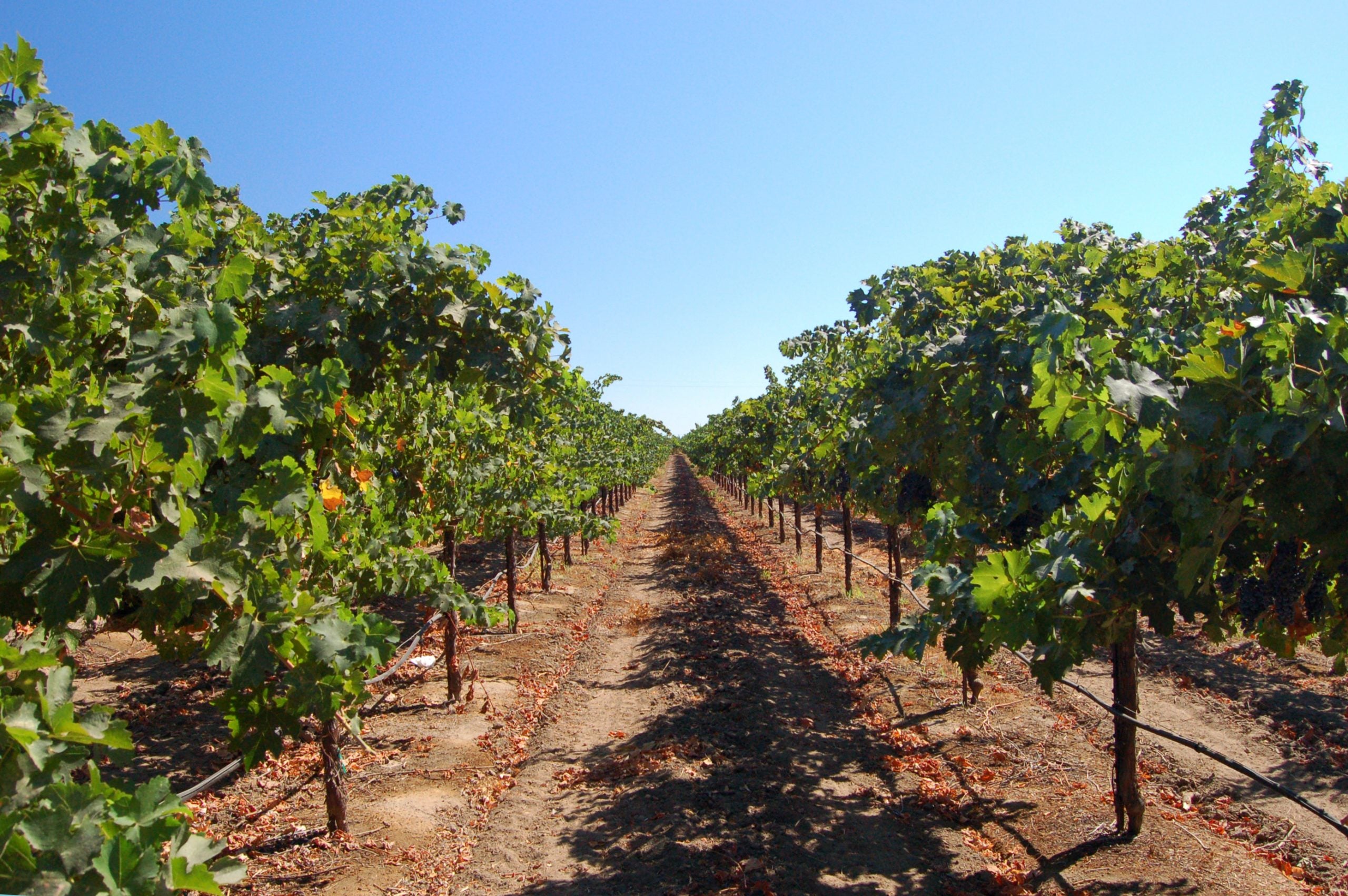 #MakingItWork: 5 Socially Distant Bachelorette Destination Ideas