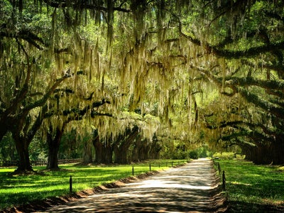 Get Lost: 72 Hours Exploring Charleston’s Southern Charm