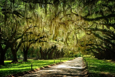 Get Lost: 72 Hours Exploring Charleston’s Southern Charm
