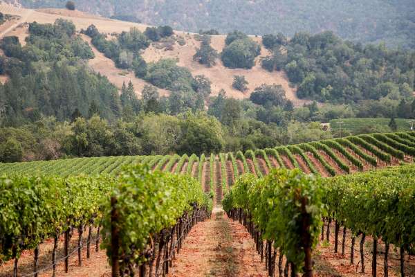 Get Lost: Spend A Wine Weekend In Napa Valley