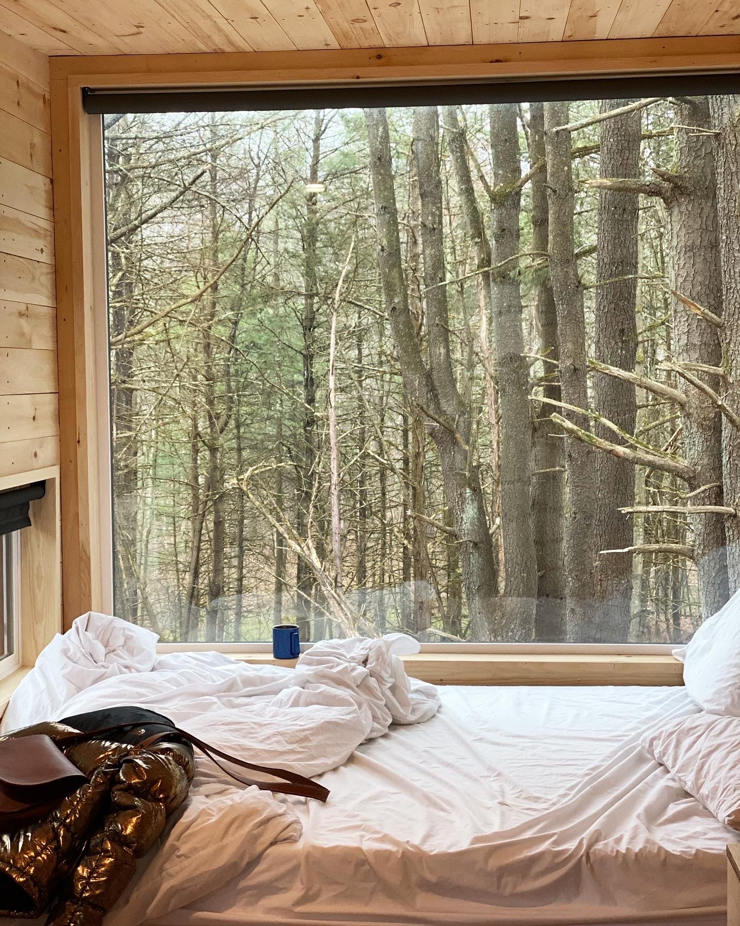 After Eight Weeks Cramped Inside An Apartment, I Escaped To The Catskills