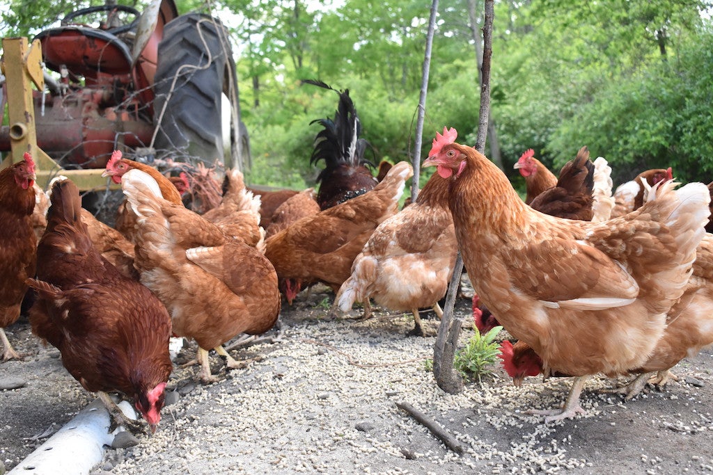 This Black-Owned Farm Is Changing The Narrative With Its ‘Make Farmers Black Again’ Campaign