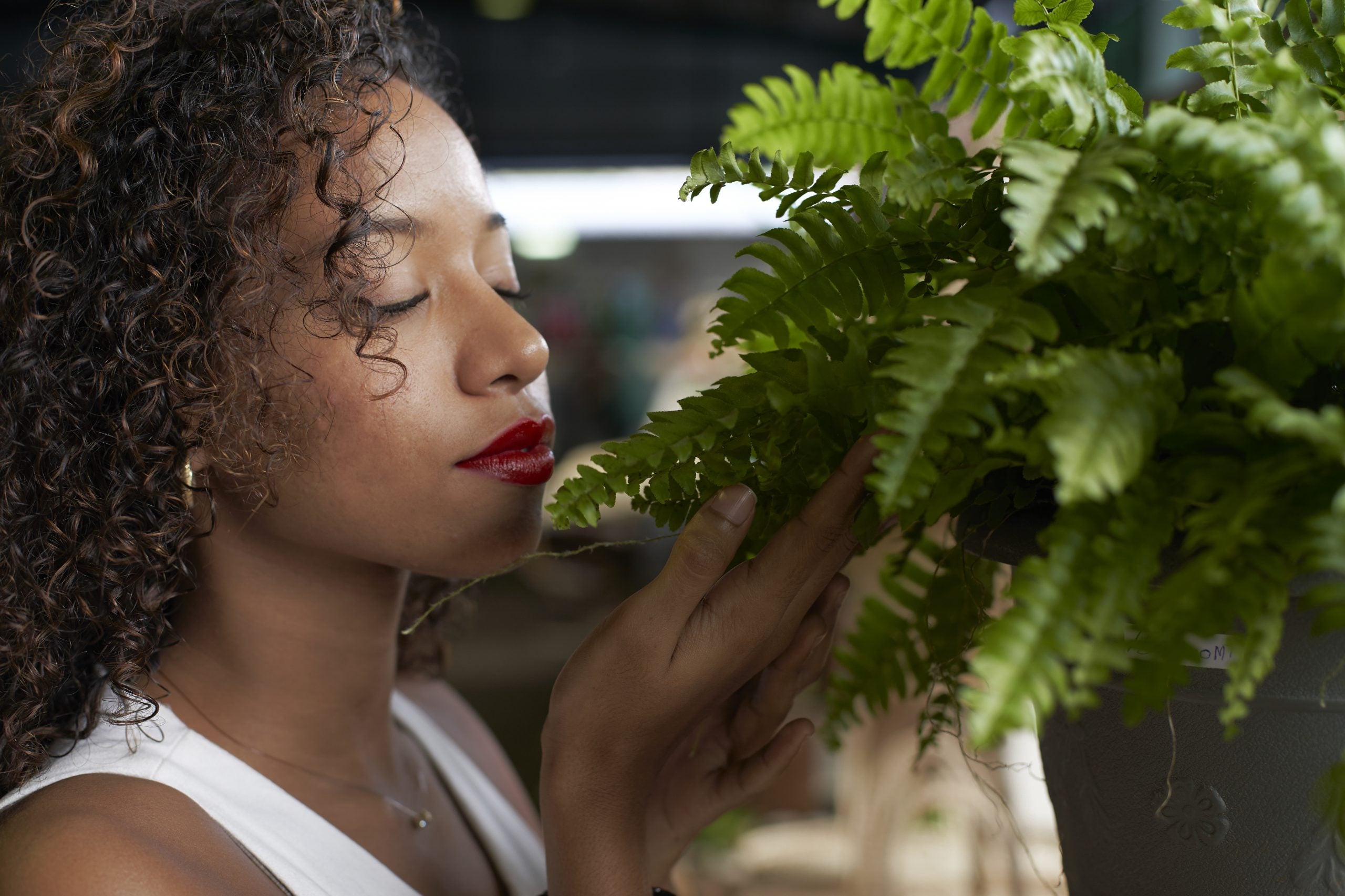 11 Things To Know Before Buying Your First Houseplant Baby