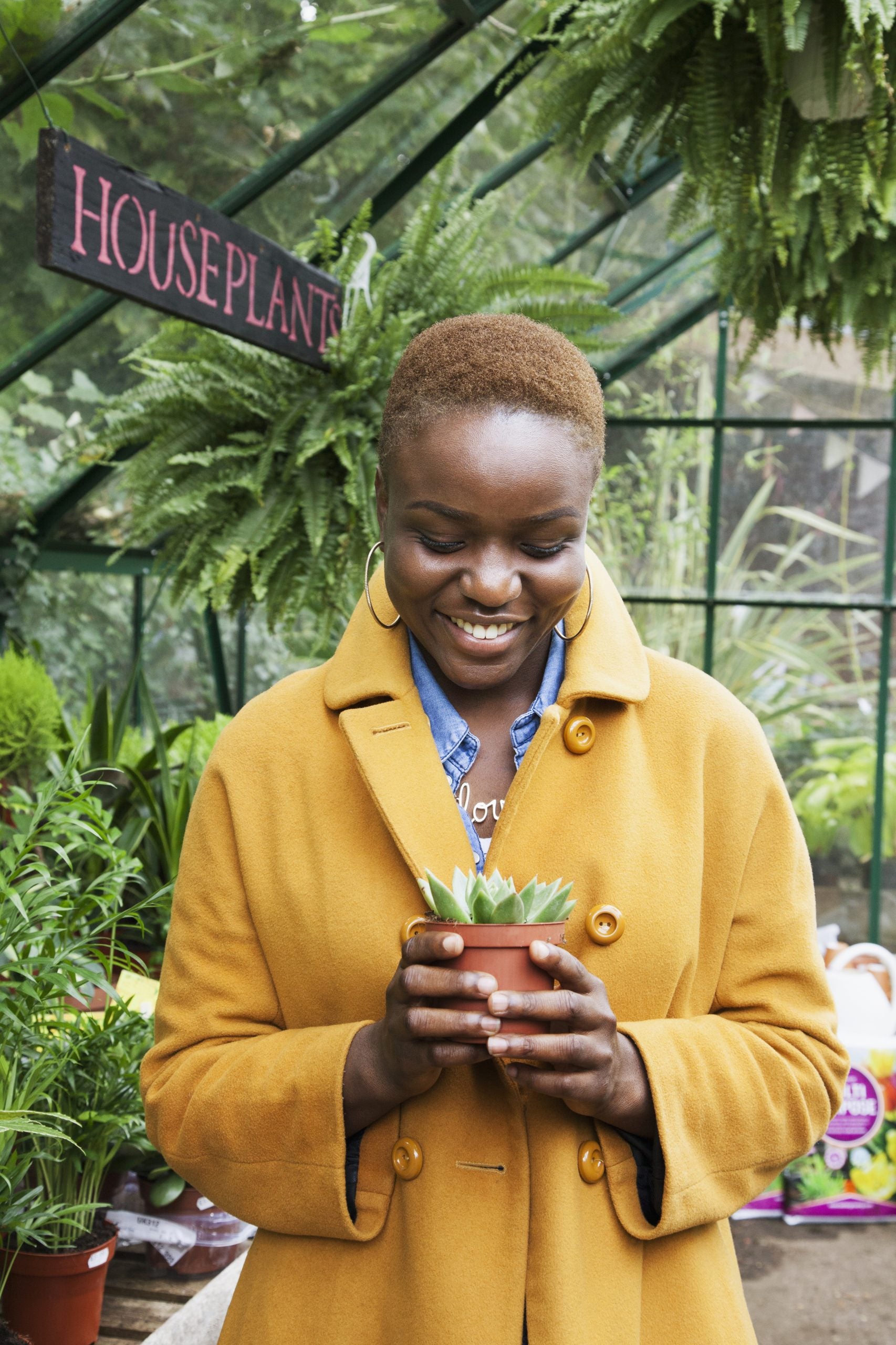 11 Things To Know Before Buying Your First Houseplant Baby