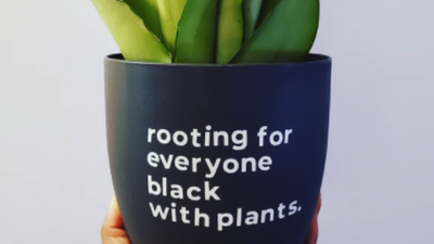21 Sources For Black-Owned Plants and Products For Plant Lovers