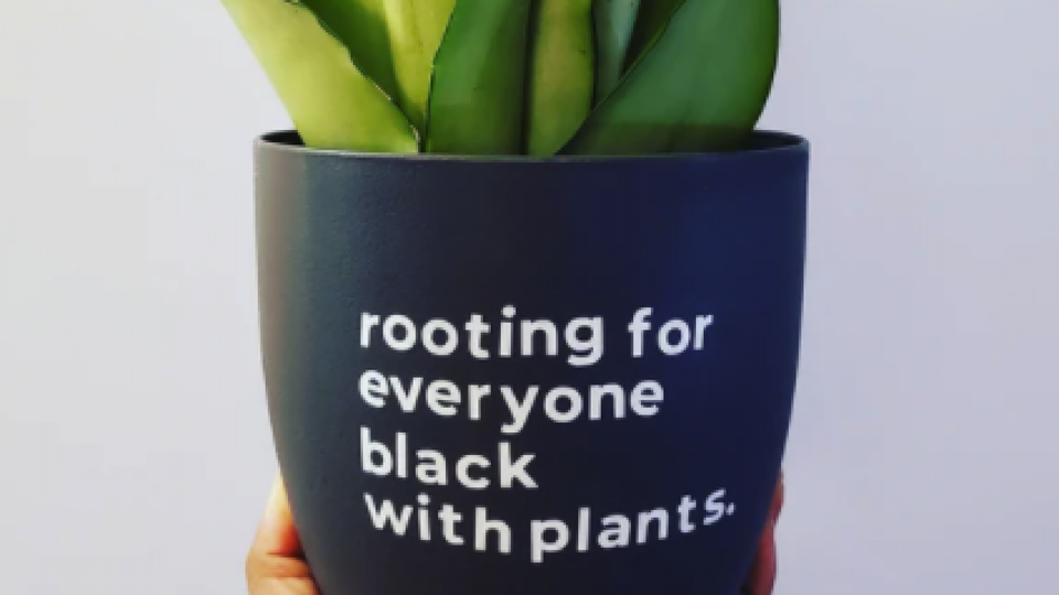 21 Sources For BlackOwned Plants and Products For Plant Lovers Essence