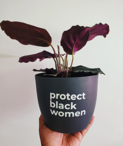 21 Sources For Black-Owned Plants and Products For Plant Lovers