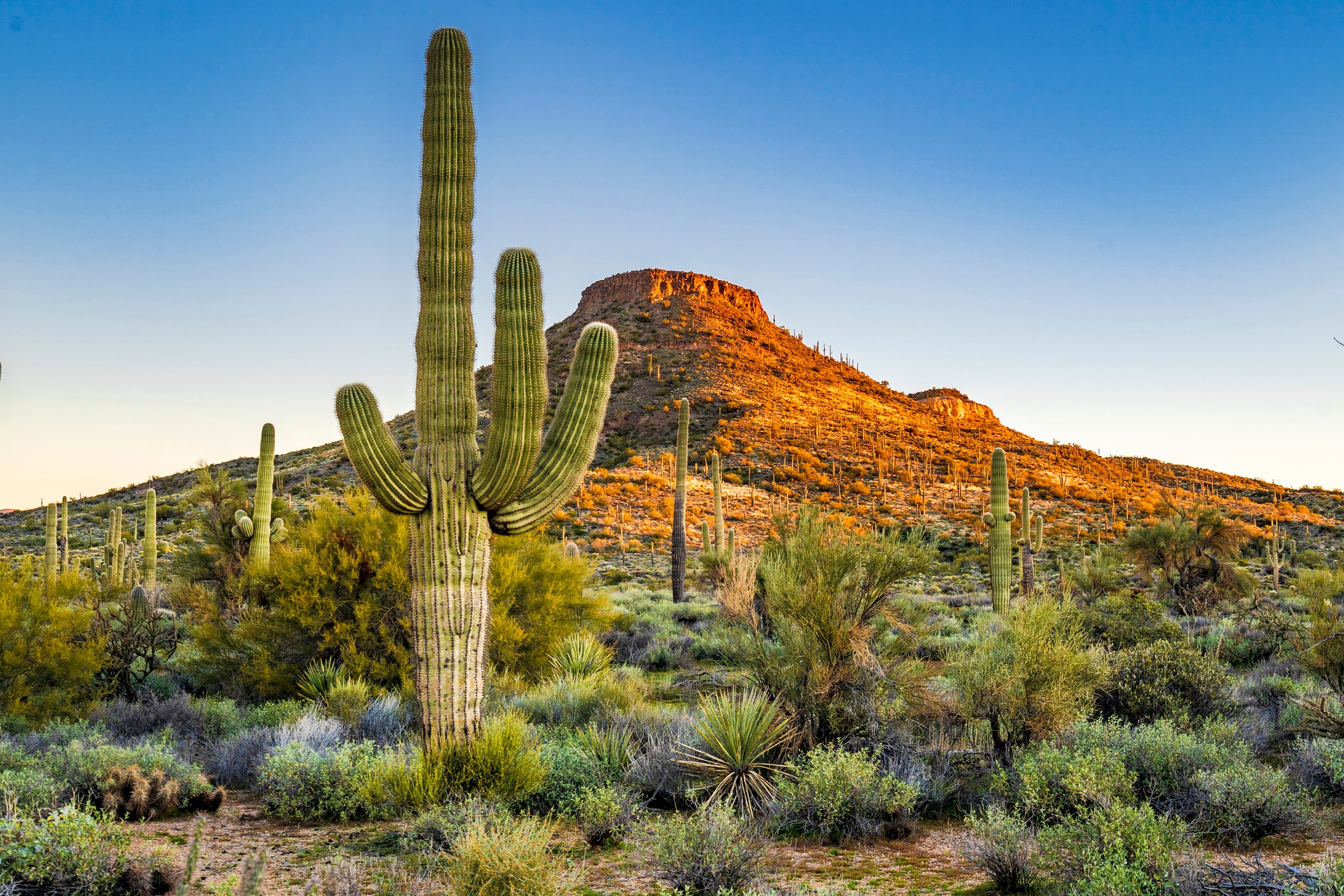 Get Lost: A Socially Distant 72 Hours In Scottsdale