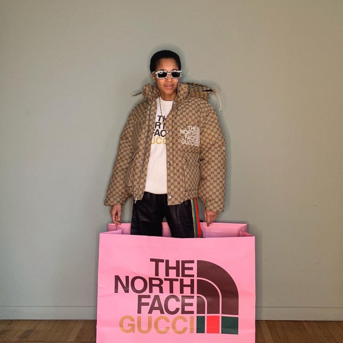 Gucci North Face Coat Price Promotions